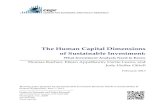 The Human Capital Dimensions of Sustainable Investment: What ...