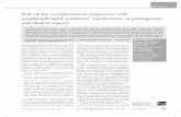 Role of the complement in pregnancy with antiphospholipid syndrome
