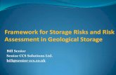Geological Storage of Carbon Dioxide – an Emerging Opportunity