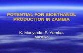 POTENTIAL FOR BIOETHANOL PRODUCTION IN ZAMBIA