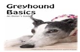 Greyhound Basics