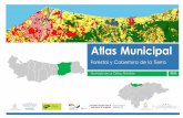 0101 La Ceiba Atlas Forestal Municipal.pdf
