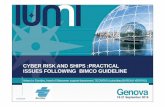 CYBER RISK AND SHIPS :PRACTICAL ISSUES FOLLOWING ...