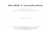 Public Health Consultation