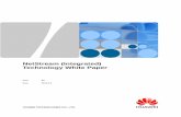 NetStream (Integrated) Technology White Paper