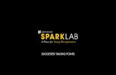 Spark Lab Suggested Talking Points