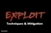 Exploit techniques and mitigation
