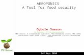 AEROPONICS   A Tool for food security