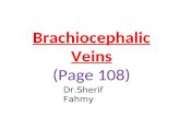 Brachiocephalic Veins (Anatomy of the Thorax)