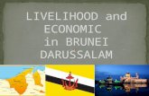 Brunei Darussalam Livelihood & Economics