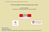The Versatility of Mesoscopic Solar Cells.