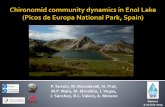 Chironomid community dynamics in Enol Lake (Picos de Europa National Park, Spain)