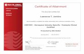 AS9100 Aerospace Industry Specific Certificate