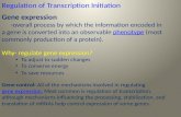 Bio 108 Cell Biology lec 6 Regulation of Transcription Initiation