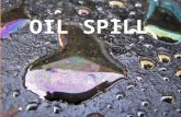 Ppt oil spill