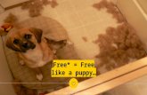 Free (like a puppy) Web Tools for Nonprofits