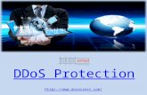 Get The Best Of DDoS Protection