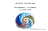 Gr 10 life sciences environment