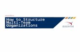 How to Structure Multi Team Organizations