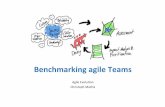 Benchmarking Agile Teams