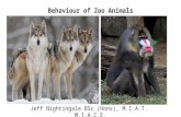 Behaviour of Zoo Animals