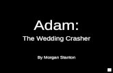 Adam: The Wedding Crasher - draft