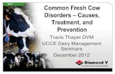 Common Fresh Cow Disorders – Causes, Treatment, and Prevention