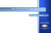 City Vehicle Fleet Management - Denver