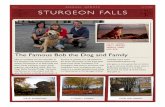 6 sturgeon fall and_algonquin