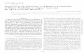 Estimation of the Glucuronic Acid Pathway Contribution to Glucose ...