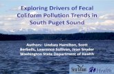 Lindsey Hamilton, Exploring drivers of fecal coliform pollution trends in South Puget Sound