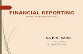 Financial Reporting under new companies Act, 2013