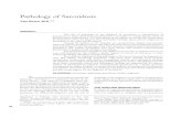 Pathology Of Sarcoidosis - Pneumonologia.gr