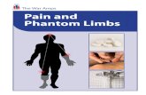 Pain and Phantom Limbs (PDF)