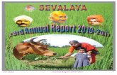 Download 23rd annual report