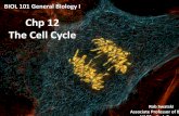 BIOL 101 Chp 12 The Cell Cycle