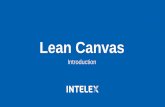 Lean Canvas Basics