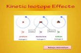 Kinetic isotope effects