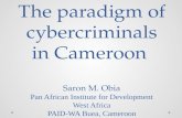The Paradigm of Cybercriminals in Cameroon