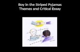 Boy in the striped pyjamas: synopsis and themes