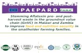 Stemming Aflatoxin pre- and post-harvest waste in the groundnut value chain (GnVC) in Malawi and Zambia