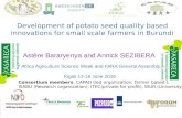 Development of potato seed quality based innovations for small scale farmers in Burundi