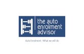 The Auto Enrolment Advisor: Auto Enrolment
