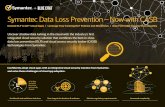 Solution Brief: Symantec Data Loss Prevention - Now with CASB