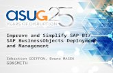 Improve and simplify sap bi sap business objects deployment and management