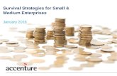 Survival Strategies for Small and Medium Enterprises in Nigeria for 2016