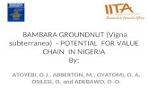 BAMBARA GROUNDNUT (Vigna subterranea)  - POTENTIAL  FOR VALUE CHAIN  IN NIGERIA