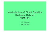Assimilation of Direct Satellite Radiance Data at NCMRWF