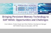 Bringing Persistent Memory Technology to SAP HANA ...