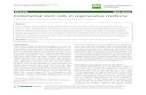 Endometrial stem cells in regenerative medicine | SpringerLink